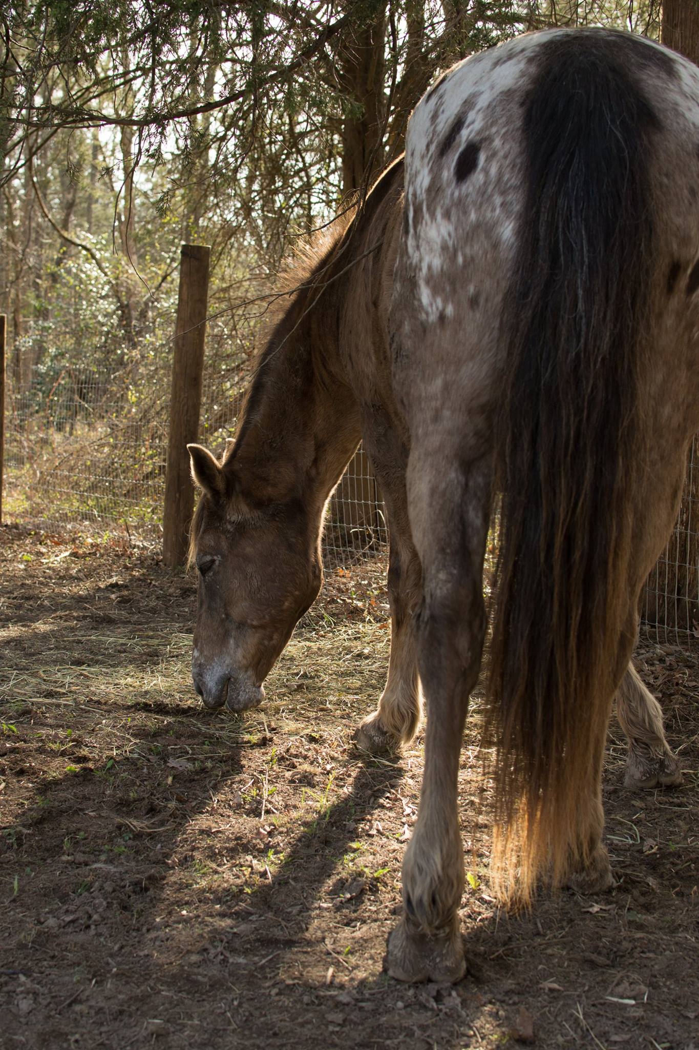 17807495_10155180392729557_8787213169178894757_o